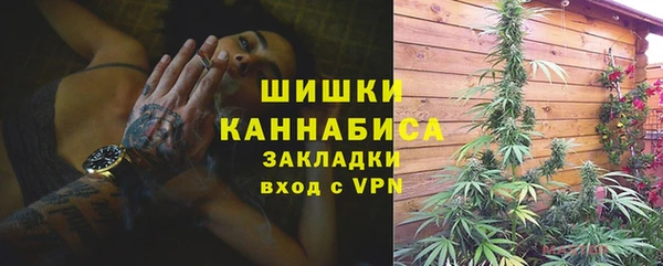 шишки Волосово
