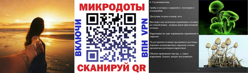 Псилоцибиновые грибы Psilocybine cubensis  гидра ТОР  Владикавказ 